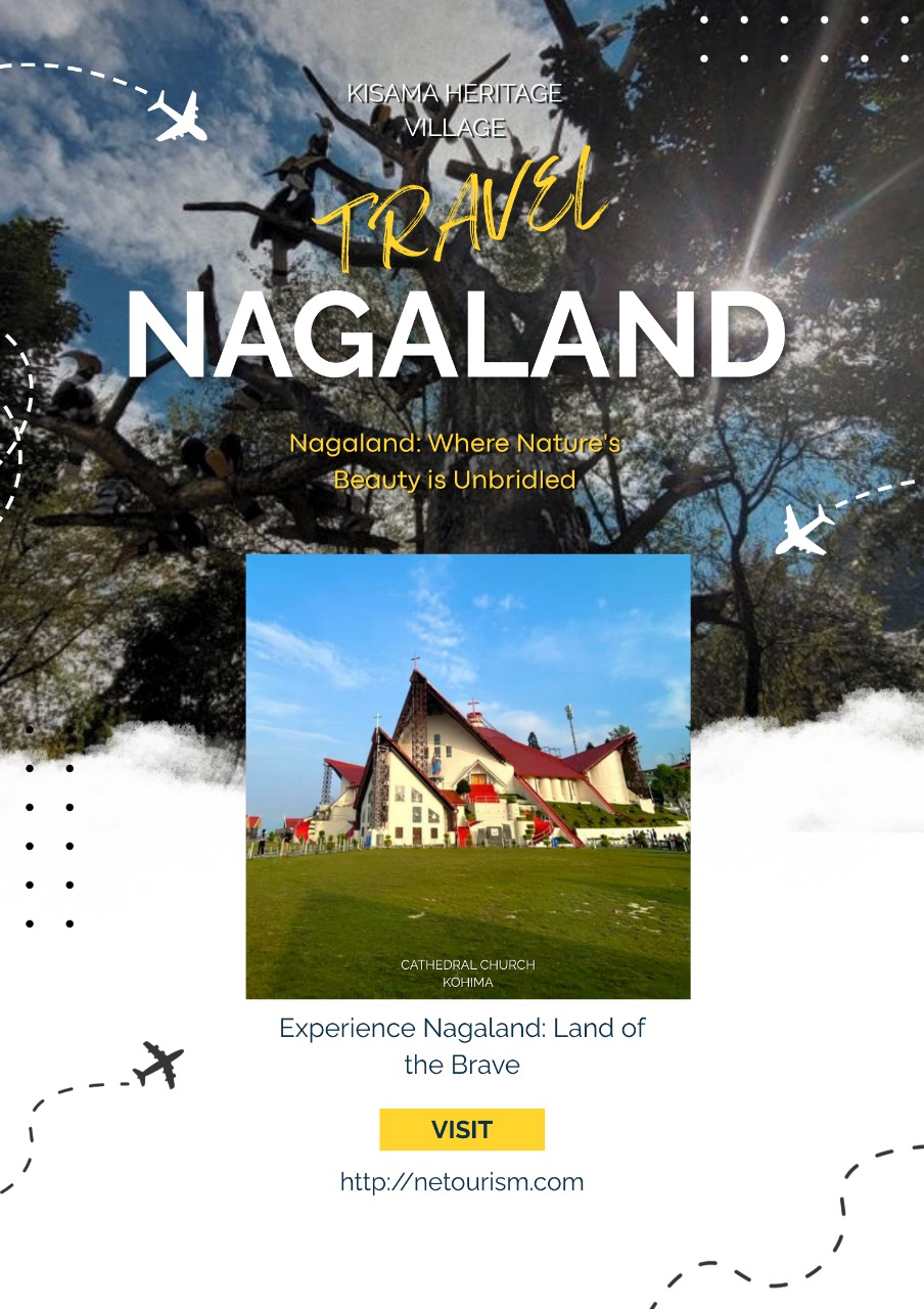 Nagaland festival